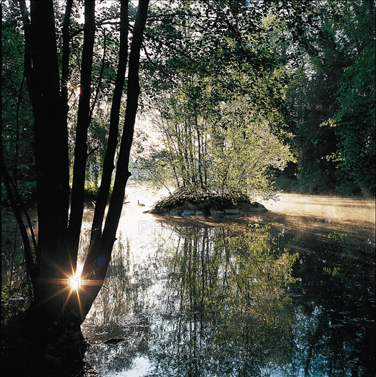 Parc du château de Marchais (Aisne)