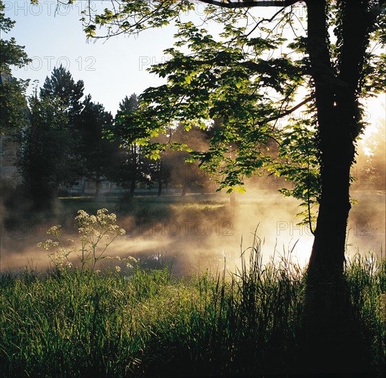 Parc du château de Marchais (Aisne)