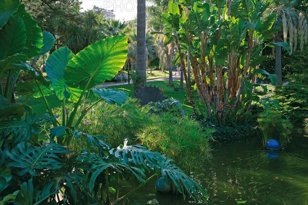 Monaco, jardin de la Petite Afrique, appartenant à la famille Grimaldi