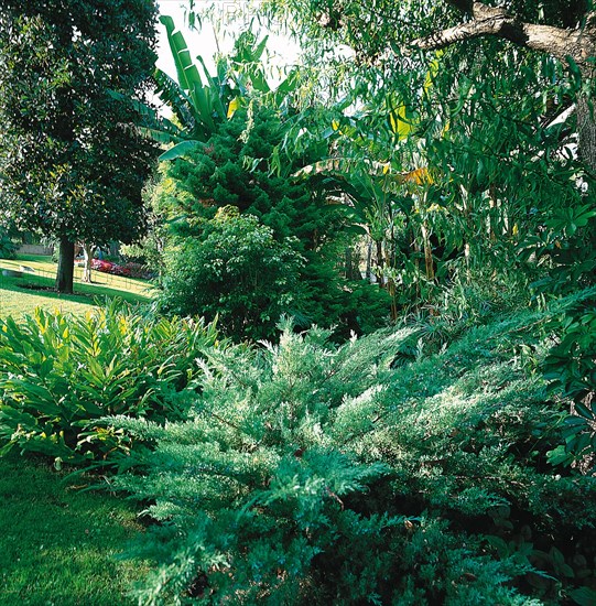 Monaco, jardin de la Petite Afrique, appartenant à la famille Grimaldi