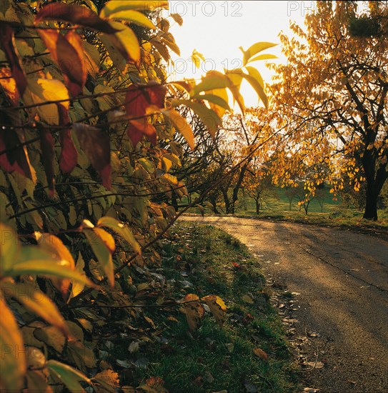 Domaine de Rocagel