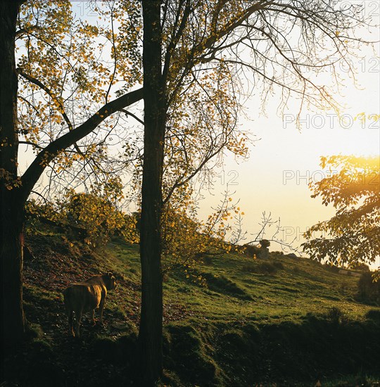 Domaine de Rocagel