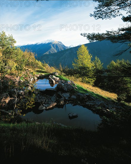 Arboretum de Roure (Alpes-Maritimes)