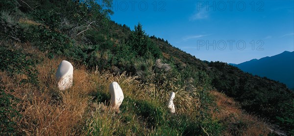 Arboretum de Roure (Alpes-Maritimes)