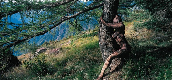 Arboretum de Roure (Alpes-Maritimes)