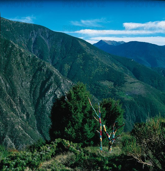 Arboretum de Roure (Alpes-Maritimes)