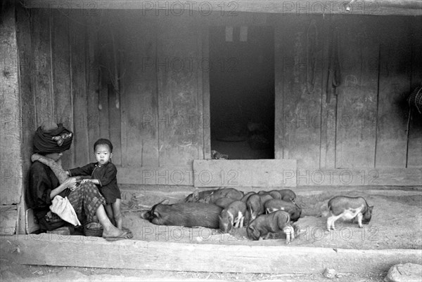 Scène de la vie quotidienne au Laos