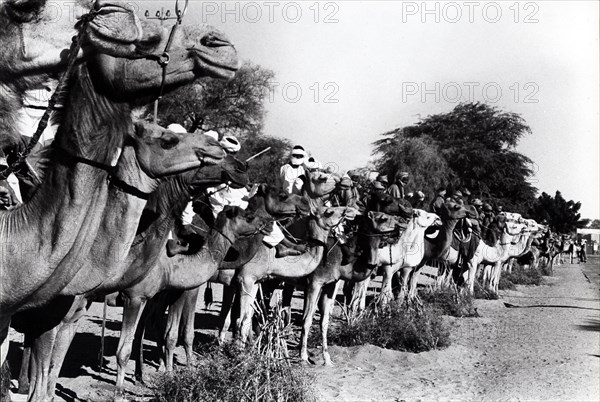 Timbuktoo, the Tuaregs aligned on the occasion of the visit of French President Valéry Giscard d'Estaing (1977)