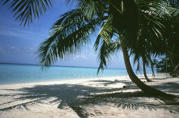 Paysage des îles Seychelles