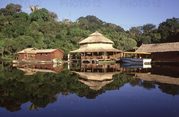 Paysage d'Amazonie