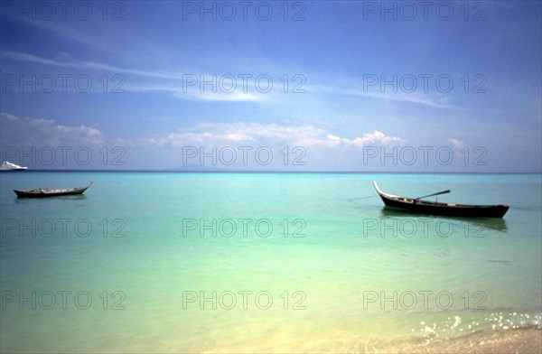 Paysage des îles Seychelles