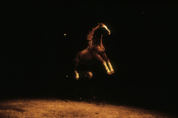 Spectacle au théâtre équestre Zingaro, 1989