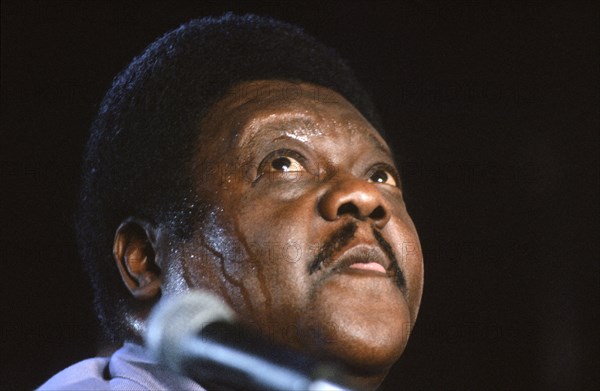 Fats Domino, 1988