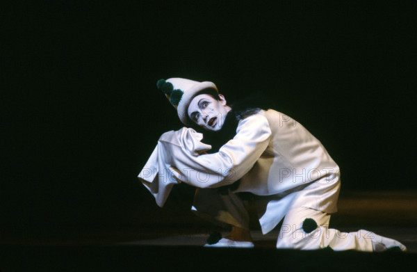 Arlequin, magicien par amour