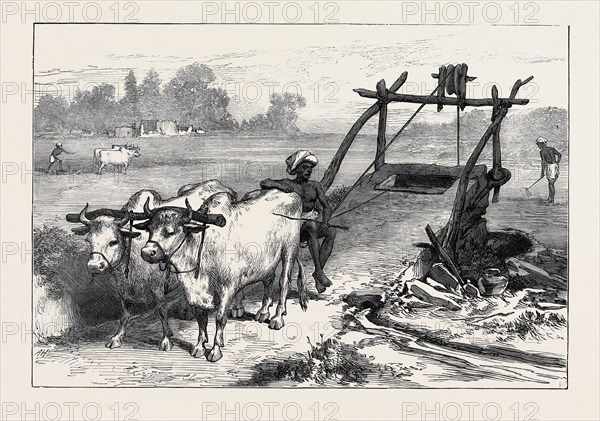 THE FAMINE IN BENGAL: INDIAN MODE OF IRRIGATION, 1874