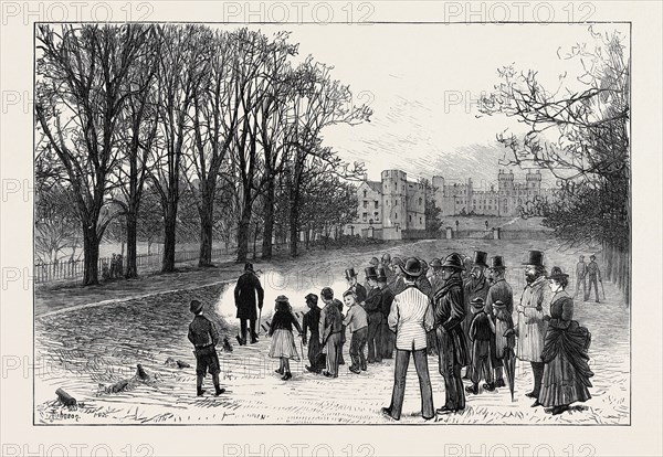 MARRIAGE FESTIVITIES FOR THE DUKE OF EDINBURGH: FIRING A SALUTE IN THE LONG WALK, WINDSOR PARK, 1874