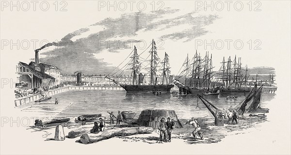 ARRIVAL OF THE "JOHN BOWES" SCREW STEAMER IN THE COLLIER DOCK OF THE EAST AND WEST INDIA DOCK RAILWAY, 1852