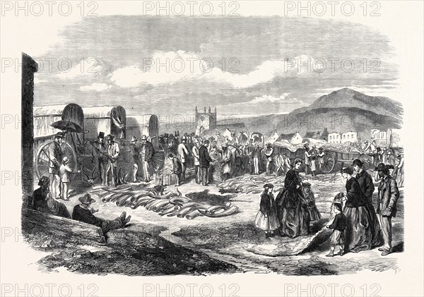 IVORY AND SKINS FOR SALE IN THE GRAHAMSTOWN MARKET, CAPE COLONY, 1866