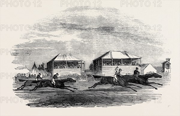 CROXTON PARK RACES, THE RACE