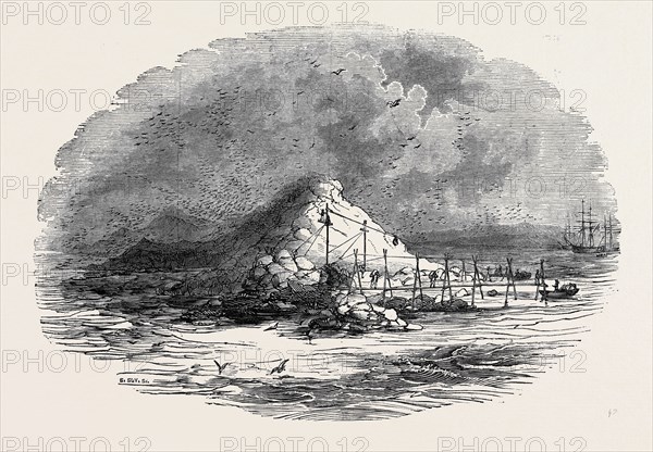THE ISLAND OF ICHABOE