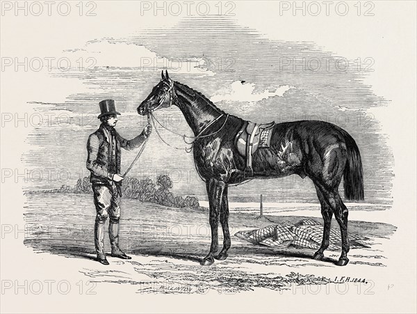 "FOIGH-A-BALLAGH," THE WINNER OF THE GREAT ST. LEGER AND GRAND DUKE MICHAEL STAKES, DRAWN BY HERRING