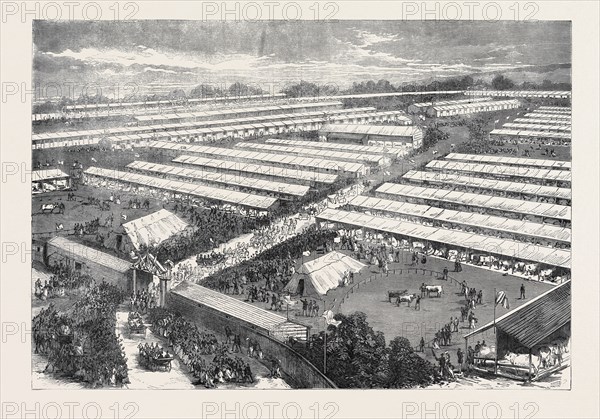 THE ROYAL VISIT TO THE IRISH AGRICULTURAL SOCIETY'S SHOW AT DUBLIN, 1871