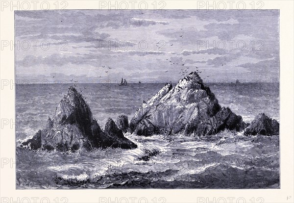 Seal Rocks, United States of America
