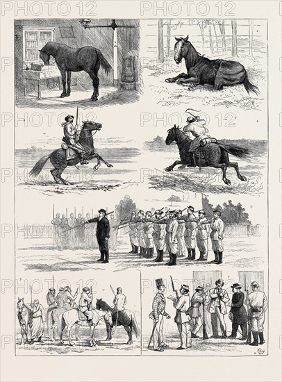 THE RECENT REVOLUTION IN THE ARGENTINE CONFEDERATION, SKETCHES IN BUENOS AYRES 1. Stabled in his Owner's Study to avoid Seizure. 2. An Exempted Veteran. 3. A National Guard before the Battle. 4. A National Guard after the Battle. 5. Scouts on the Look-out for the Enemy. 6. Lance Drill. 7. "Su Papeleta?" (" Where is your Certificate of Nationality ?")