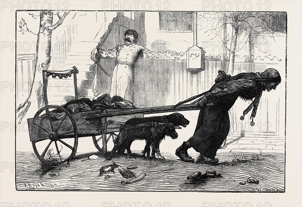 NEW YORK: IN THE RAG TRADE, 1870; The rag gatherers must begin their labours in the very small hours of the morning. Where there are so many to be supported out of the gutters and dust barrels and refuse boxes, there is a sharp rivalry.