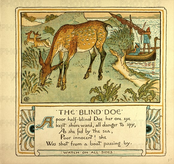 THE BLIND DOE