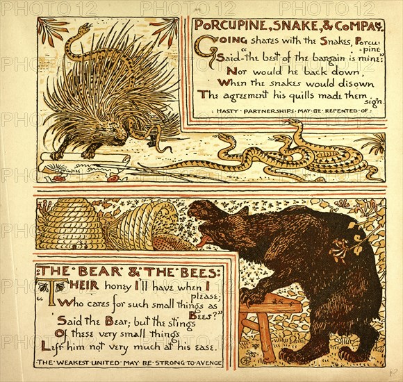 PORCUPINE, SNAKE, AND COMPANY; THE BEAR AND THE BEES