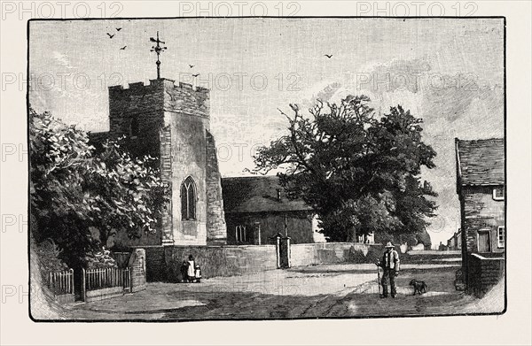 ST. MARY'S AND ST. MARTIN'S, TRIMLEY, LOOKING SOUTH