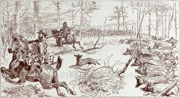A SHOOTING EXCURSION IN TURKEY: OUR HORSES ARE SEIZED, WITH PANIC, AND STAMPEDE MADLY THROUGH THE FOREST