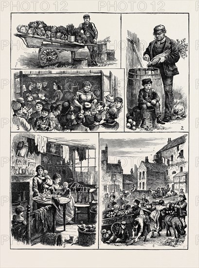 THE STREET VENDORS' QUESTION, LIFE IN GOLDEN LANE: 1. THE EARL'S BARROW; 2. TRIMMINGS FOR SOUP KITCHENS; 3. COSTERMONGERS' DINNER; 4. CHINA YARD ON SATURDAY AFTERNOON; 5. HOME OF A COSTERMONGER