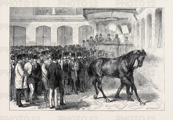 SALE OF THE HORSES OF THE TENTH HUSSARS AT TATTERSALL'S: "CRUSADER" UNDER THE HAMMER