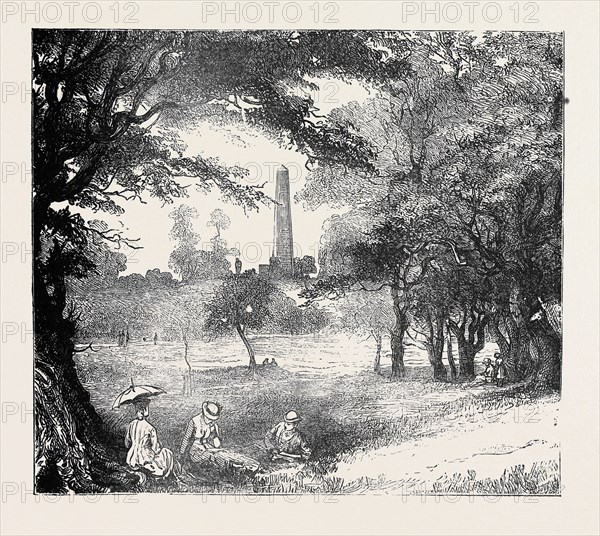 VIEW IN PHOENIX PARK, DUBLIN, IRELAND