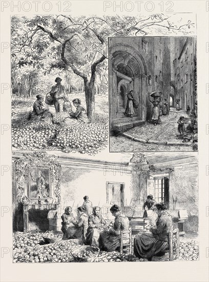 HER MAJESTY'S VISIT TO MENTONE: 1. GATHERING LEMONS AT MENTONE; 2. MAISON BOTTINI, FORMERLY THE SEAT OF GOVERNMENT OF THE PRINCIPALITY OF MONACO, NOW USED AS A LEMON STOREHOUSE; 3. INTERIOR OF THE MAISON BOTTINI: PACKING LEMONS