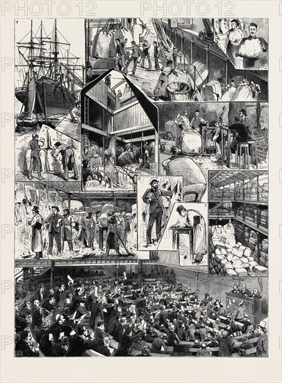 OUR COLONIAL WOOL TRADE: 1. The Dublin Castle discharging Cargo of Cape Wool at Blackwall Docks; 2. On Deck: Unloading the Wool; 3. Drawing Samples from the Bales; 4. In the Main Hold: Breaking Bulk; 5. Labelling the Bales in Lots on Show; 6. Weighing Up the Bales after Sale; 7, 8, and 9. Intending Buyers Examining and Valuing at the Warehouse; 10. The Wool Storehouse, St. Katherine's Docks; 11. The Sale Room at the Wool Exchange