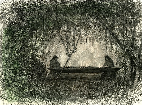Canoe fabrication, 1869, Peru