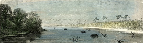 Plaines of Sacrement, 1869, Peru