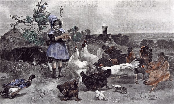A Morning Call; Chicken; A.W. Strutt; Child; 1891;, girl feeding chickens; farm house; bush; sleeping dog; asleep; chicks; hen; duck; smoke; branch; tree; broad scenery; happy;