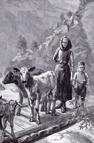 Norway, the Family cows by Sydney P. Hall, 1891, wooden bridge; mother; son; rural; farm; country side; ma; mamma; mom; mommy; mountains; walk; rail less plank bridge; mountain torrent; branch in hand; flocks and herds of the little homestead; two calves; norwegian farmer