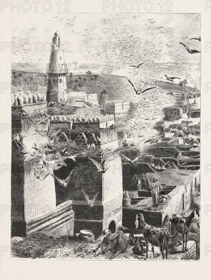 VILLAGE IN UPPER EGYPT. Egypt, engraving 1879