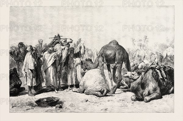 CAMEL MARKET. Egypt, engraving 1879