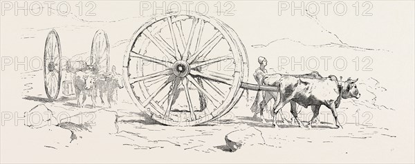 TRANSPORT OF STONE. Egypt, engraving 1879