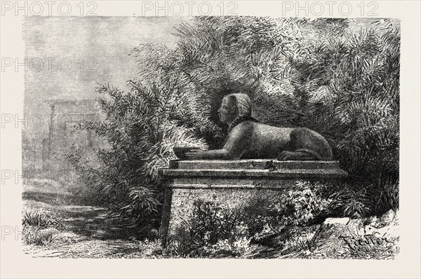 SPHINX AT KARNAK. Egypt, engraving 1879