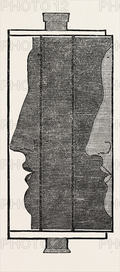 Section, showing the impression of the features in a physiognotype