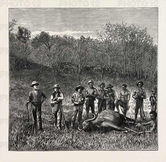 BUFFALO HUNTERS IN THE TRANSVAAL, SOUTH AFRICA. Transvaal is a geographic term associated with land north of (i.e., beyond) the Vaal River in modern day South Africa. Multiple states and administrative divisions have carried the name Transvaal.





South African Republic or "Zuid-Afrikaansche Republiek" (1856Ã¢â‚¬â€ú1877 and 1881Ã¢â‚¬â€ú1902), sometimes called the Transvaal Republic in English