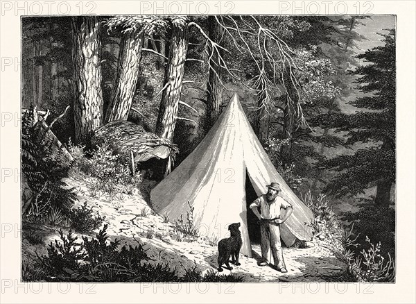 A SUMMER ENCAMPMENT IN A NORTH PACIFIC FOREST: COPPER MOUNTAIN, NEAR ALBERNI, ON THE WESTERN SHORES OF VANCOUVER ISLAND