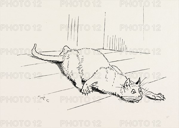 THE CAT THAT ATE THE RAT, 19th century